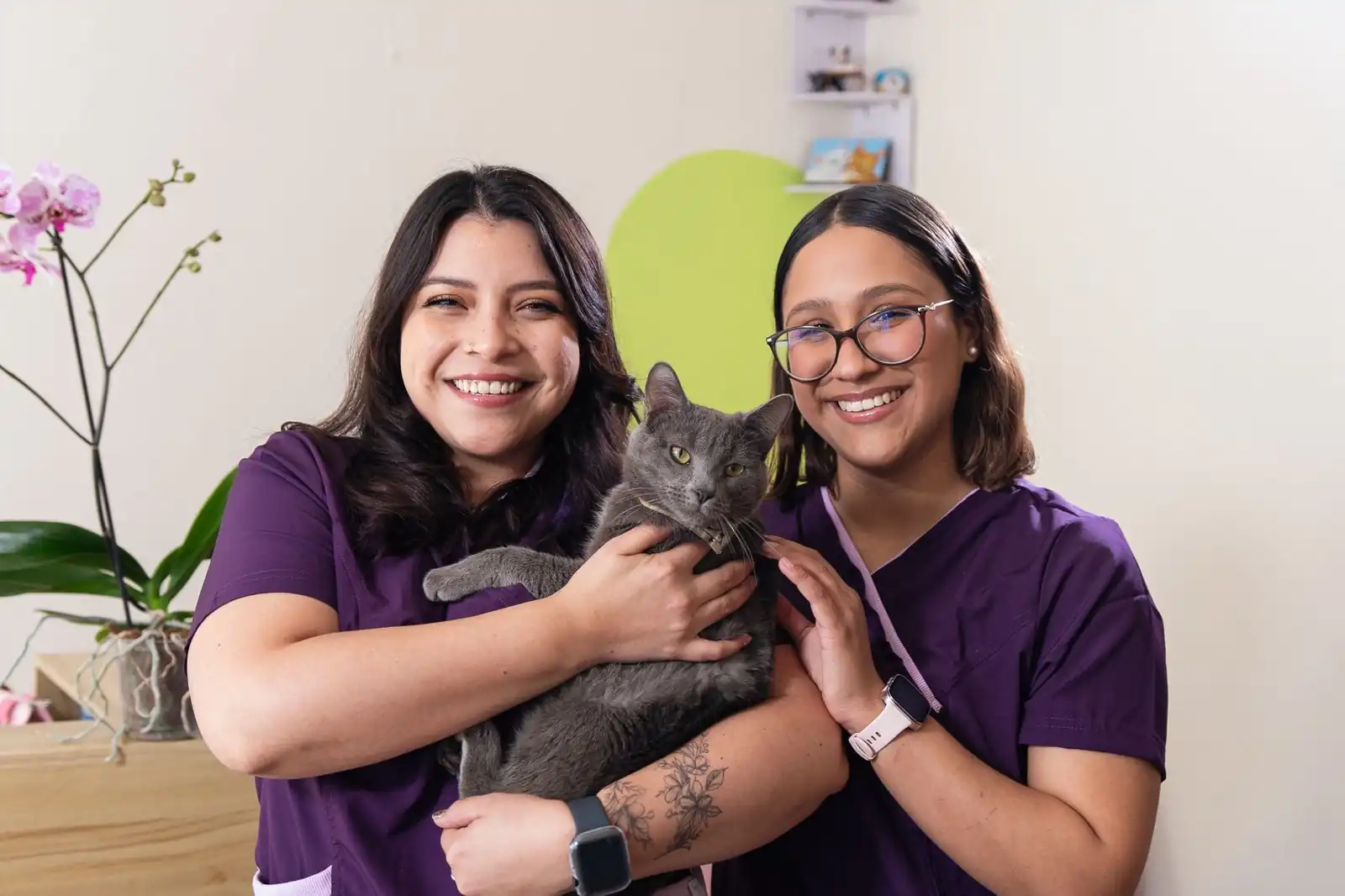 Consultorio veterinario, perros y gatos.